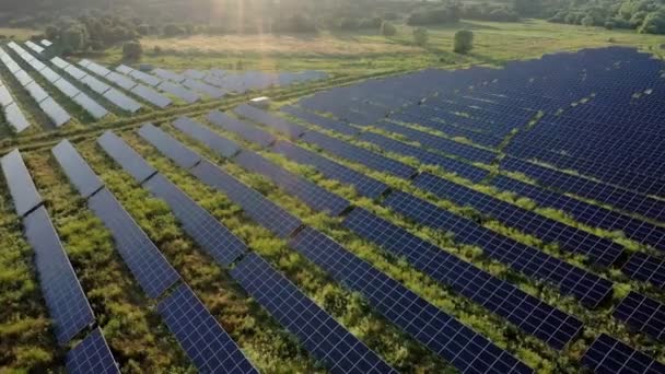 Vista Uma Usina Energia Solar Linhas Painéis Solares Painéis Solares — Vídeo de Stock