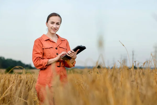 밭에서 디지털 태블릿 컴퓨터를 사용하는 농민의 초상화 — 스톡 사진