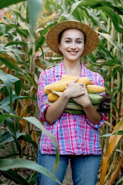 Farmář Dívá Klíčení Mladé Kukuřice Poli Analyzuje Letošní Výnos — Stock fotografie