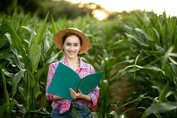 Farmář Složkou Stojí Kukuřičném Poli Kontroluje Růst Zeleniny Zemědělství Produkce — Stock fotografie