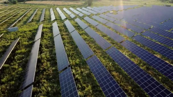 Vue Aérienne Des Panneaux Solaires Tiennent Lever Soleil Flyover Fields — Video