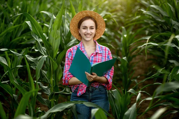 Farmář Složkou Stojí Kukuřičném Poli Kontroluje Růst Zeleniny Zemědělství Produkce — Stock fotografie