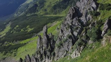 Karpatya dağlarındaki Spitz dağının kayalık zirvesi, yaz dağlarının manzarası.