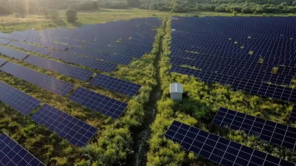 Pohled Shora Obrovskou Fotovoltaickou Elektrárnu Umístěnou Poli Při Západu Slunce — Stock video