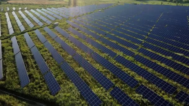 Luftaufnahme von Sonnenkollektoren stehen bei Sonnenaufgang. Überflugfelder Grüne Energielandschaft. Konzept der elektrischen Energie, Ökologie, Innovation, globale Erwärmung — Stockvideo