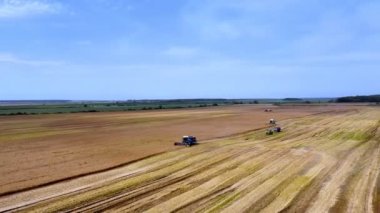 Hasat işçisi buğdaydan altın olgun kulaklar toplar. Tarım makinesi. Yaz sonbahar işleri. Doğa. Ukrayna. Resimli manzara..