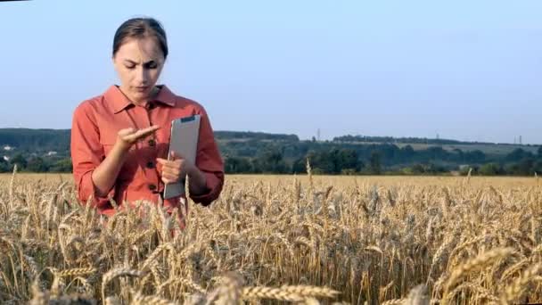 Buğday Tarlasında Çalışan Genç Bir Kadın Biyolog Test Tüpüne Tahıl — Stok video