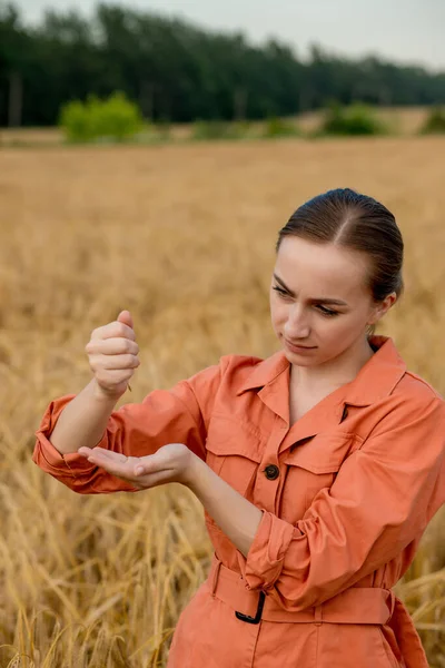 Uma Agricultora Agrônomo Está Derramando Grãos Trigo Suas Mãos Conceito — Fotografia de Stock