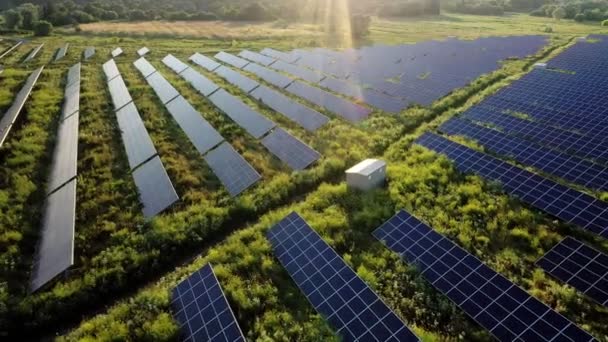 Luftaufnahme Des Solarkraftwerks Auf Der Grünen Wiese Einem Sonnigen Tag — Stockvideo