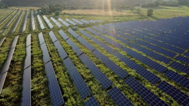 Luftaufnahme Des Solarkraftwerks Auf Der Grünen Wiese Einem Sonnigen Tag — Stockvideo