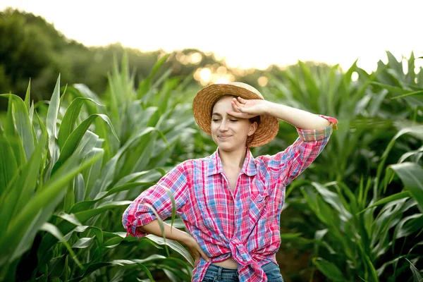 Portrét Mladé Ženy Farmář Inspekci Kukuřice Pole Létě Slunečný Den — Stock fotografie