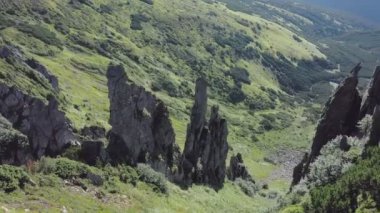 Karpatya dağlarındaki Spitz dağının kayalık zirvesi, yaz dağlarının manzarası.