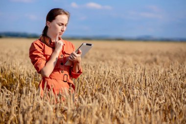 Beyaz Agronomist mısır gevreği tarlasını kontrol ediyor ve tabletteki buluta veri gönderiyor. Akıllı tarım ve dijital tarım kavramı.
