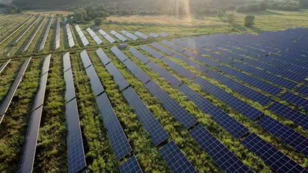 太阳能发电厂 一排太阳能电池板 太阳能电池板 太阳能发电厂的最高视图 可再生资源主题的工业背景 发电厂 — 图库视频影像