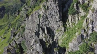 Karpatya dağlarındaki Spitz dağının kayalık zirvesi, yaz dağlarının manzarası.