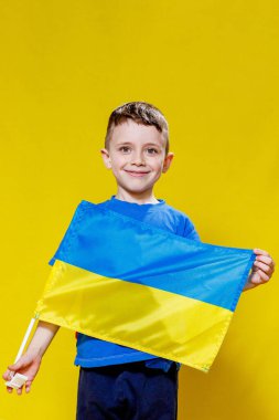 Little boy smiling holding a yellow and blue flag Ukraine. Ukrainian child. Independence Day of Ukraine. Flag Day.