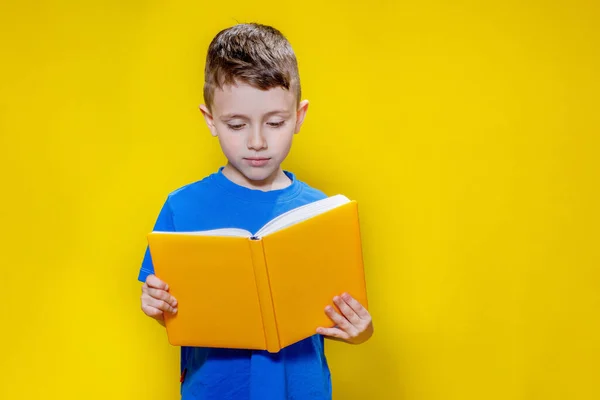 Kleine Vrolijke Blonde Groen Ogige Jongen Jaar Oud Een Stijlvol — Stockfoto