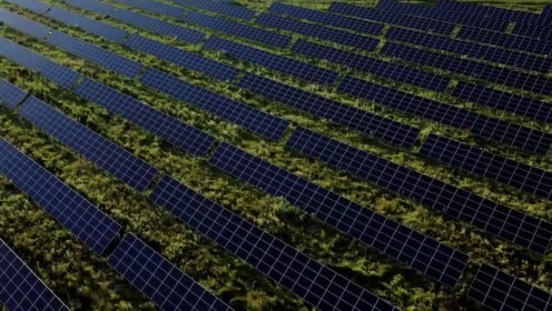 Vista Aérea Planta Energía Solar Green Field Día Soleado Avión — Vídeo de stock