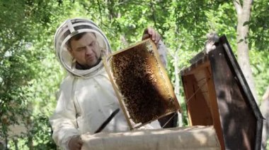 Koruyucu kıyafetli bir arı yetiştiricisi arıların bal çerçevesini fırçayla sallıyor. Bal pompalıyorum. Apiculture. Arıcı.
