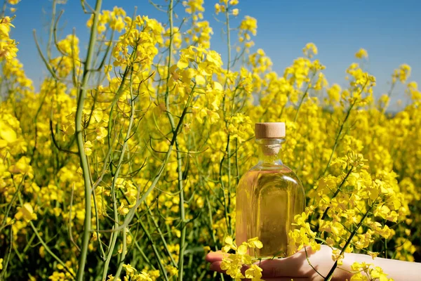 Rapeseed oil in a transparent glass bottle in hand on a background of rapeseed field.