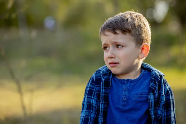 Little Preschooler Got Lost Woods Boy Crying Child Alone Woods — Stock Photo, Image