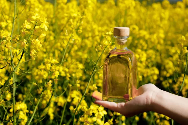 Rapeseed oil in a transparent glass bottle in hand on a background of rapeseed field.