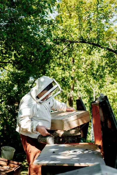 Apicultor Atent Îndepărtează Fagurii Miere Albine Pentru Inspecție Apicultor Experimentat — Fotografie, imagine de stoc