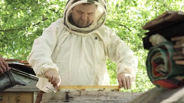 Pszczelarz Kombinezonie Ochronnym Potrząsa Ramą Miodu Pszczół Pędzlem Pompuję Miód — Wideo stockowe
