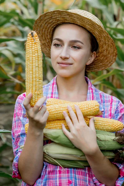 Farmer Looking Germination Young Corn Field Analyzes Year Yield — Stock Photo, Image
