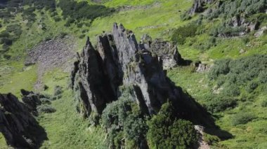 Karpatya dağlarındaki Spitz dağının kayalık zirvesi, yaz dağlarının manzarası..