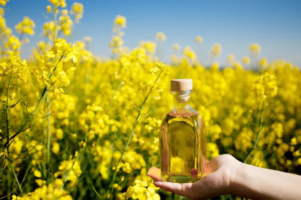 Rapeseed oil in a transparent glass bottle in hand on a background of rapeseed field.