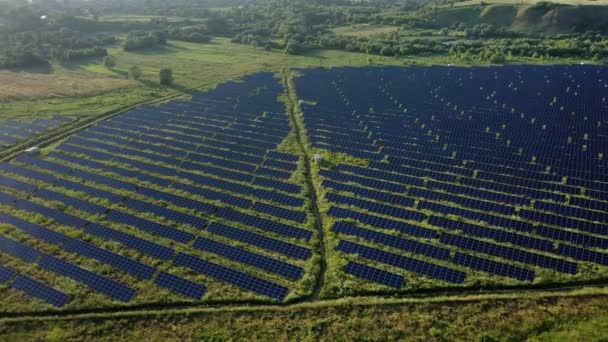 晴れた日にはグリーンフィールドの太陽光発電所の空中トップビュー ドローンはソーラーファームの上を飛ぶ 多くのソーラーパネルは電力生産のために列に立っています 再生可能エネルギー — ストック動画