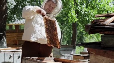 Koruyucu kıyafetli arı yetiştiricisi bal petekleriyle çalışır. Arı kostümü giymiş bir çiftçi arı kovanında bal peteğiyle çalışır. Kırsalda arıcılık. Organik tarım.