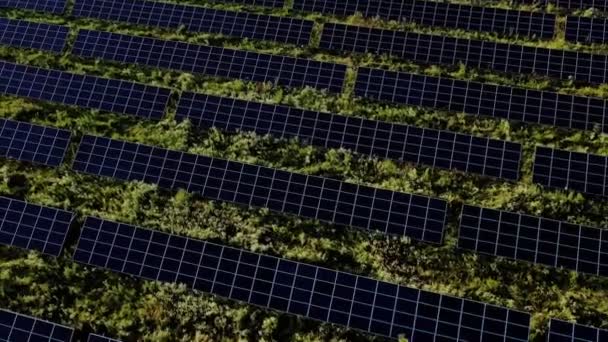晴れた日にはグリーンフィールドの太陽光発電所の空中トップビュー ドローンはソーラーファームの上を飛ぶ 多くのソーラーパネルは電力生産のために列に立っています 再生可能エネルギー — ストック動画