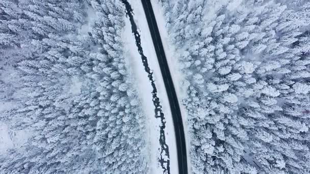 Vista Aérea Carretera Invierno Pinos Cubiertos Nieve — Vídeos de Stock