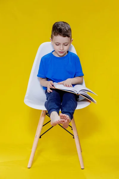 Positieve Kleuter Een Aspen Shirt Met Een Open Geel Leerboek — Stockfoto