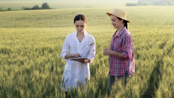 Farmer Laboratory Technician Shaking Hands Wheat Field Agriculture Agribusiness Successful — 图库视频影像