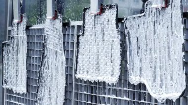 Basınç altında su sağlayan bir hortumla plastik araba halılarını yıkamak..