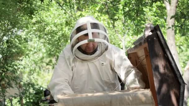 Biodlare Skyddsdräkt Skakar Honungsramen Från Bin Med Borste Pumpar Honung — Stockvideo