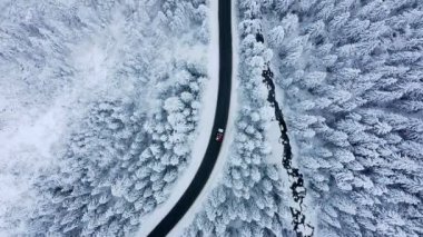 Kış yolu ve karla kaplı çam ağaçlarının havadan görünüşü.