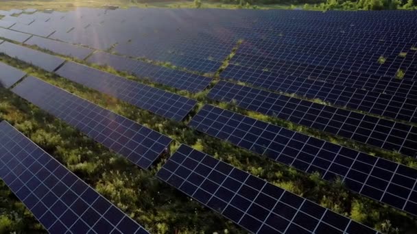 Vista Uma Usina Energia Solar Linhas Painéis Solares Painéis Solares — Vídeo de Stock