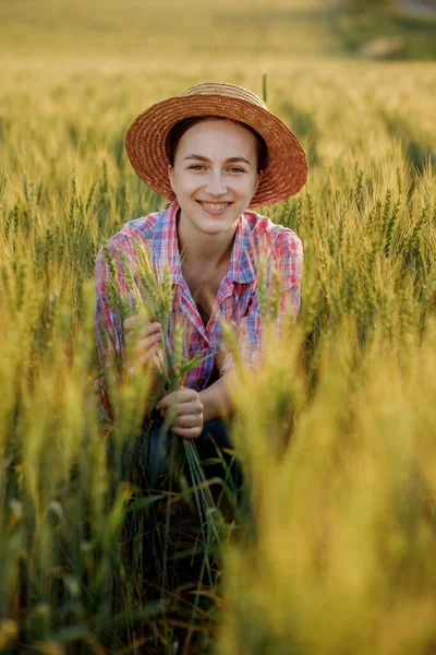 Young Farmer Checkered Shirt Sits Ears Wheat Rejoices Harvest — Zdjęcie stockowe