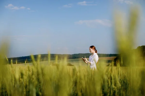 Laboratory Technician Using Digital Tablet Computer Cultivated Wheat Field Application — Stockfoto