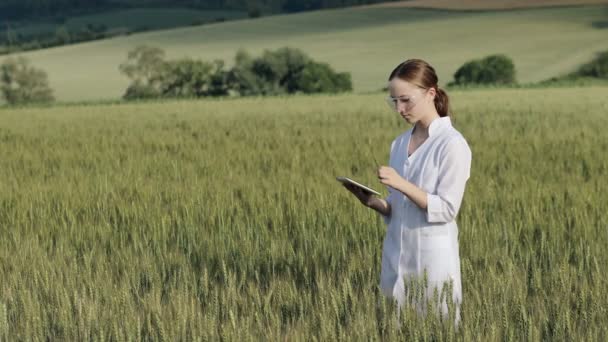 Laboratory Technician Using Digital Tablet Computer Cultivated Wheat Field Application — 图库视频影像