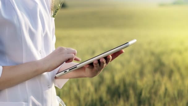 Laboratory Technician Using Digital Tablet Computer Cultivated Wheat Field Application — Stockvideo