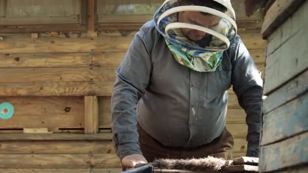 Beekeeper Holds Honey Cell Bees His Hands Apiculture Apiary Working — Stock Video