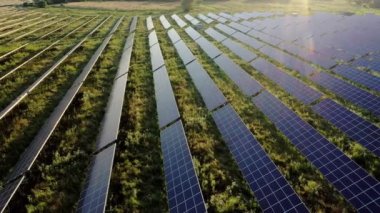 Güneşli bir günde Green Field 'daki Güneş Enerjisi İstasyonu' nun Aerial Top görüntüsü. İnsansız hava aracı Güneş Çiftliği üzerinde uçuyor. Bir sürü Güneş Paneli Güç Üretimi için sırada bekliyor. Yenilenebilir yeşil enerji