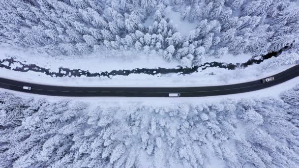 Vista Aérea Carretera Invierno Pinos Cubiertos Nieve — Vídeos de Stock