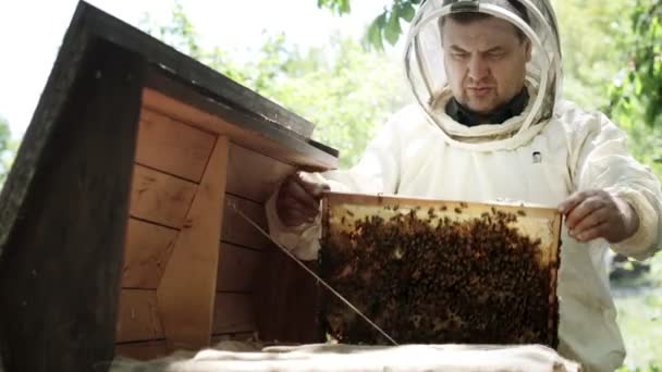 Pszczelarz Kombinezonie Ochronnym Pracuje Plastrami Miodu Farmer Garniturze Pracuje Plastrami — Wideo stockowe