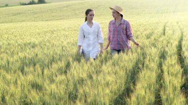 Young female lab technician in white coat and female farmer checking harvest progress on tablet in green wheat field. A new crop of wheat is growing. Agriculture and farm concept.